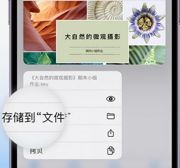 榆阳apple维修中心分享iPhone文件应用中存储和找到下载文件