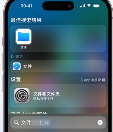 榆阳apple维修中心分享iPhone文件应用中存储和找到下载文件 