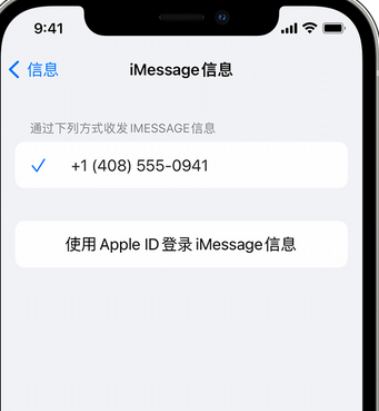 榆阳apple维修iPhone上无法正常发送iMessage信息 