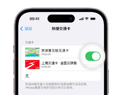 榆阳apple维修点分享iPhone上更换Apple Pay快捷交通卡手绘卡面 