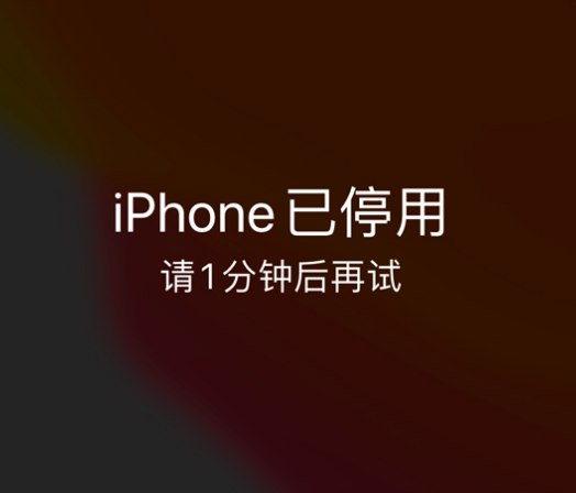 榆阳苹果手机维修分享:iPhone 显示“不可用”或“已停用”怎么办？还能保留数据吗？ 