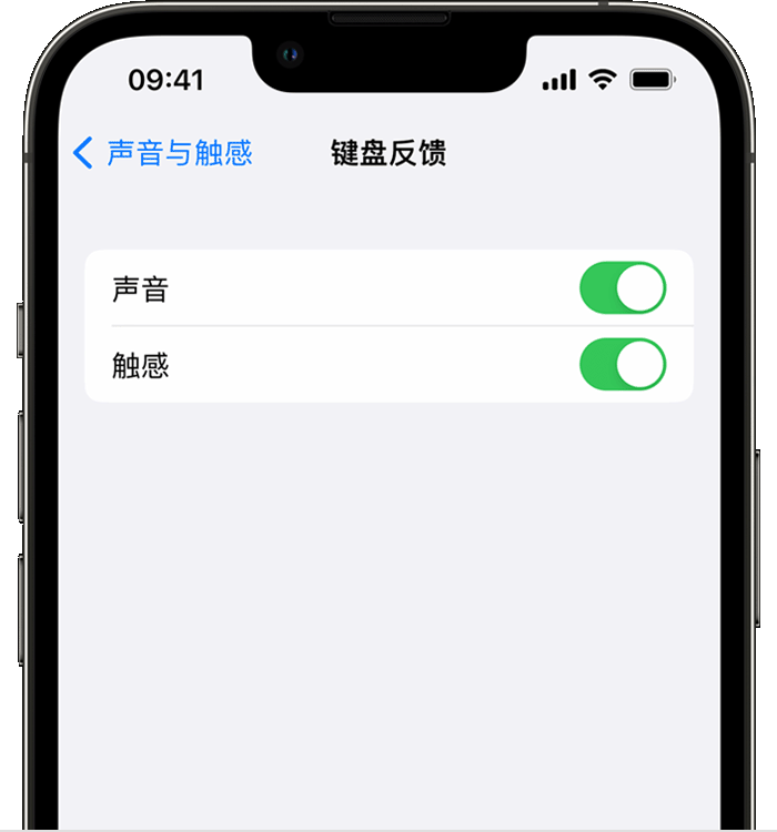 榆阳苹果14维修店分享如何在 iPhone 14 机型中使用触感键盘 