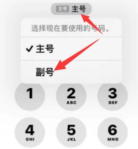 榆阳苹果14维修店分享iPhone 14 Pro Max使用副卡打电话的方法 