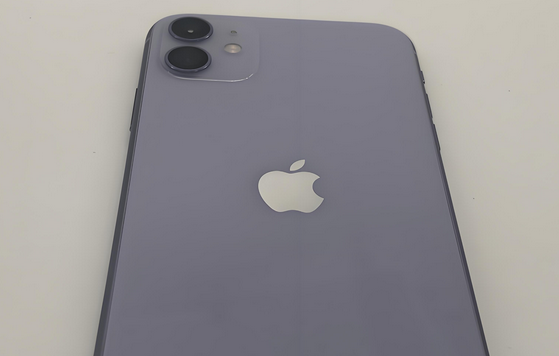 榆阳苹果11系统维修分享iPhone11手机系统崩溃无法开机如何解决 